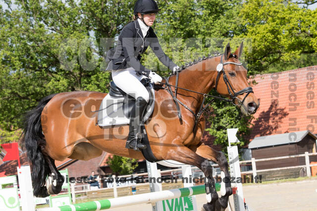 Sterne über Münster 2019 - CCI***S