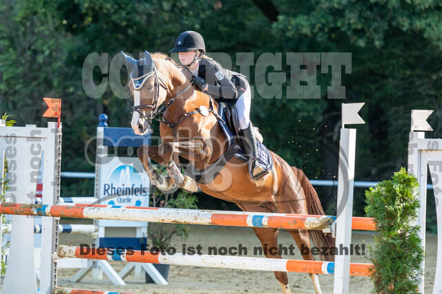 RFV Dinslaken-Hiesfeld (Herbstturnier)