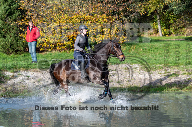 IGV Lehrgang der Sieger der Cups mit Frank Ostholt