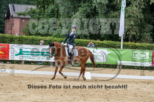 Goldene Schärpe 2021 - Ponys