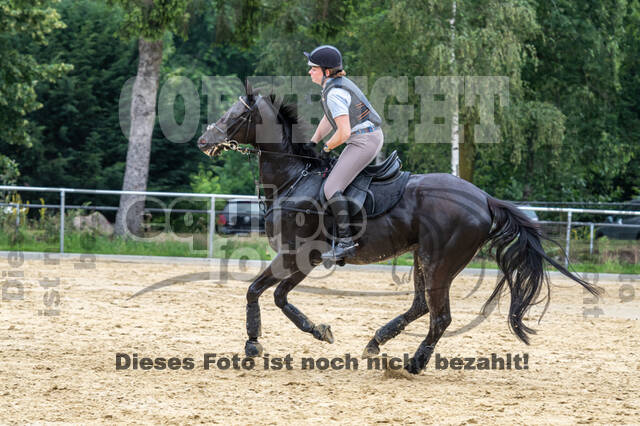 Hunter Geländetraining 10.07.2021 (Sonsbeck)