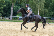 Hunter Geländetraining 10.07.2021 (Sonsbeck)