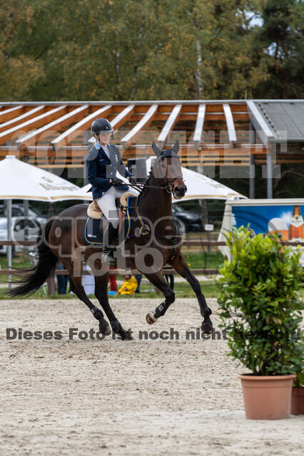 Deutsche Meisterschaft Vielseitigkeit (Luhmühlen)