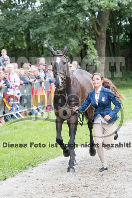 FEI European Championship
