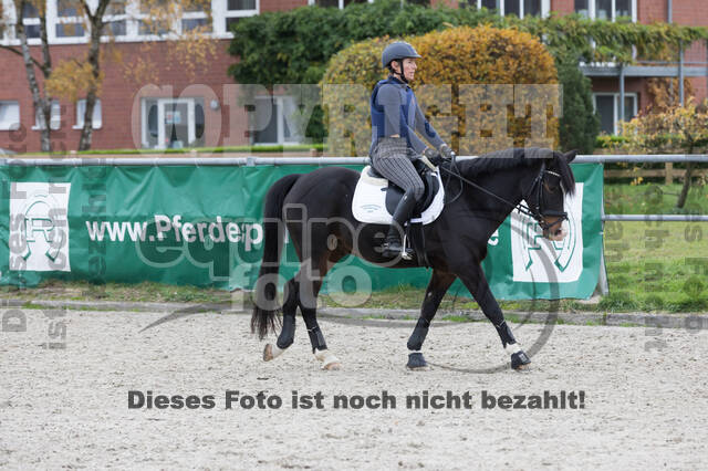 IGV Lehrgang der Sieger der Cups mit Frank Ostholt