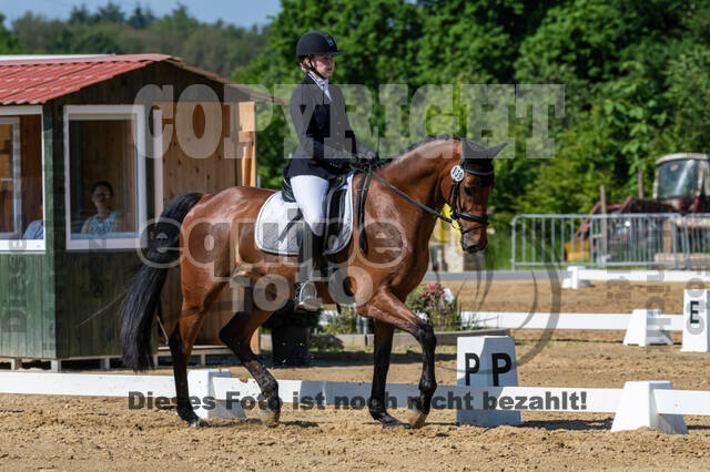 Westerstede Horse Trials 2021