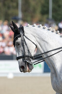FEI European Championship Eventing 2019