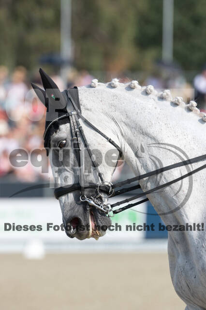 FEI European Championship Eventing 2019