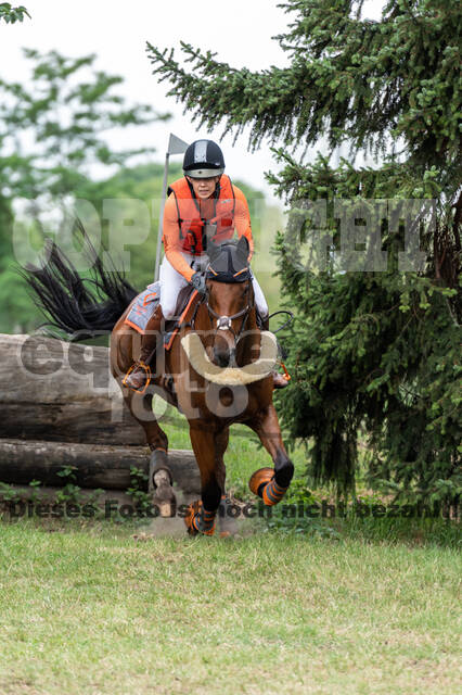 Late-Entry-Vielseitigkeit Langenfeld (11.+13./14.06.2020)