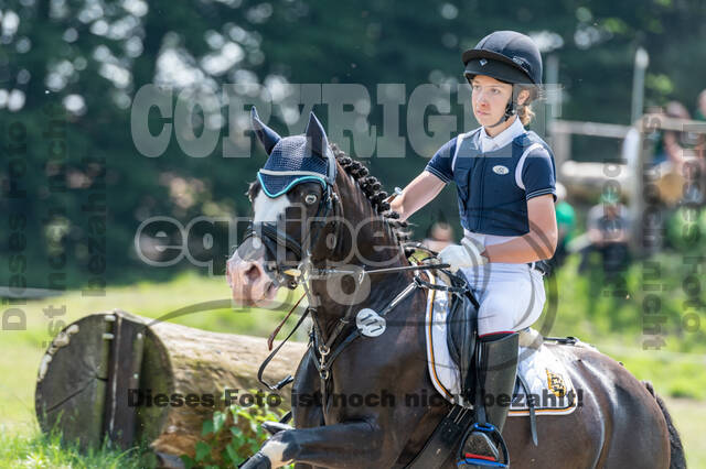 Goldene Schärpe 2021 - Ponys