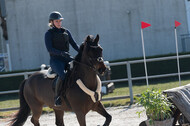 Trainingsturnier Langenfeld (12.+13.03.2022)