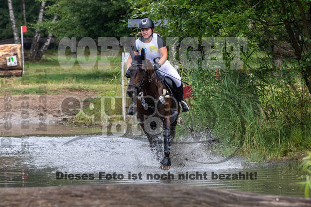 Late-Entry Vielseitigkeit Hamminkeln/Wesel (01.+02.08.2020)