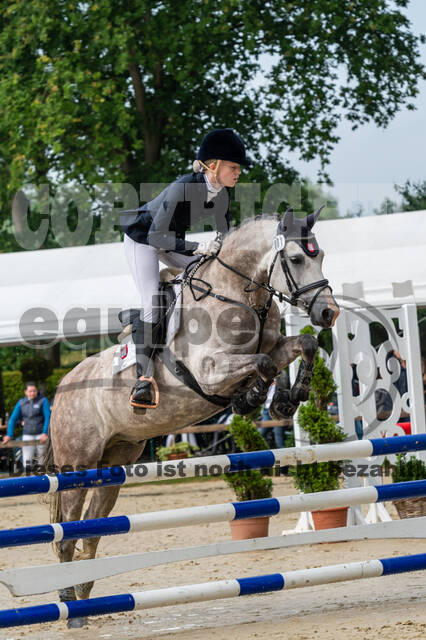 Goldene Schärpe 2021 - Ponys