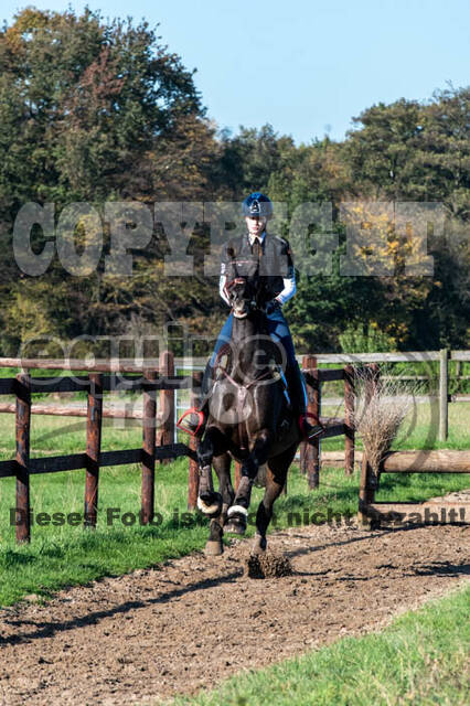Vielseitigkeitslehrgang mit Jürg Kurbel (9.+10.11.2019)