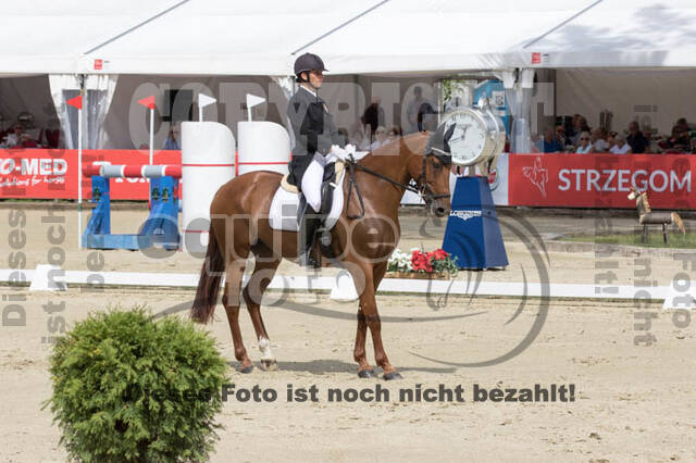 FEI European Championship Eventing 2017