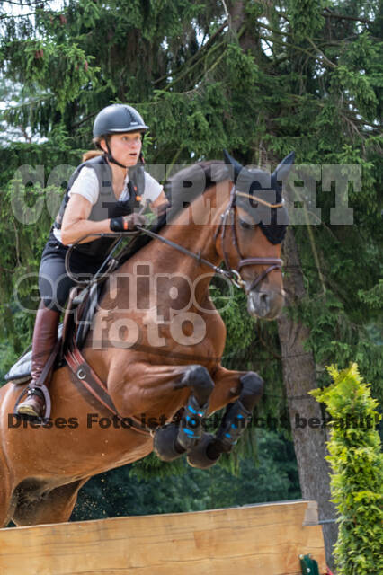 Hunter Geländetraining 10.07.2021 (Sonsbeck)
