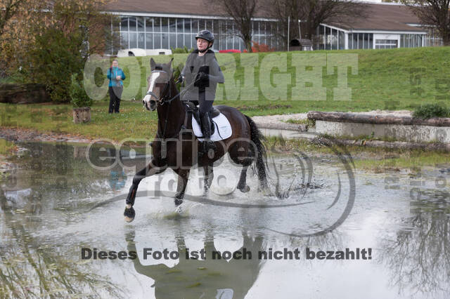 IGV Lehrgang der Sieger der Cups mit Frank Ostholt