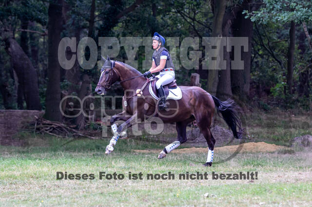 Late-Entry Vielseitigkeit Hamminkeln/Wesel (01.+02.08.2020)