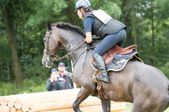 FEI European Championship