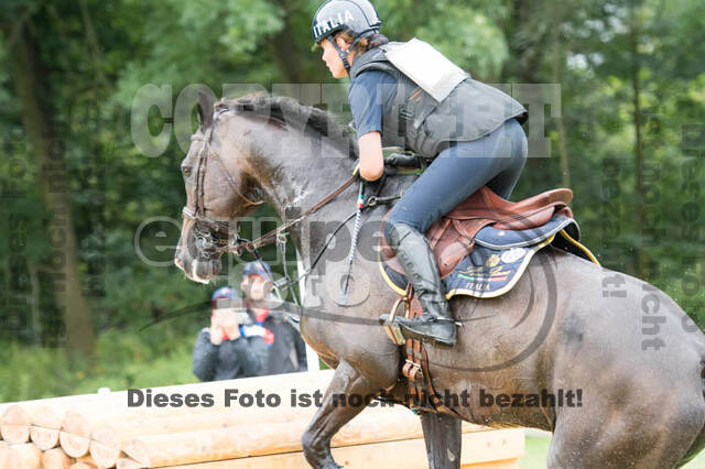 FEI European Championship