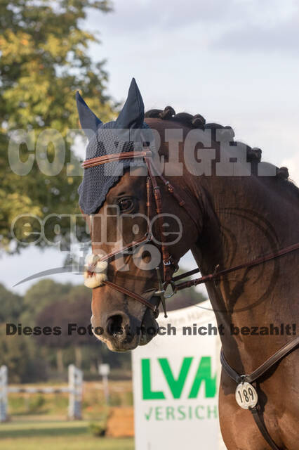 IGV Kleve