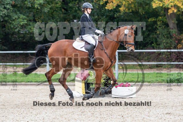 Reiter Schleswig-Holstein