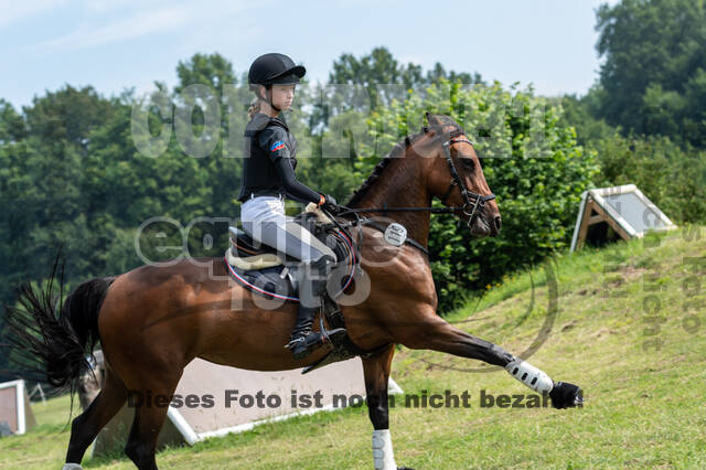 Goldene Schärpe 2021 - Ponys
