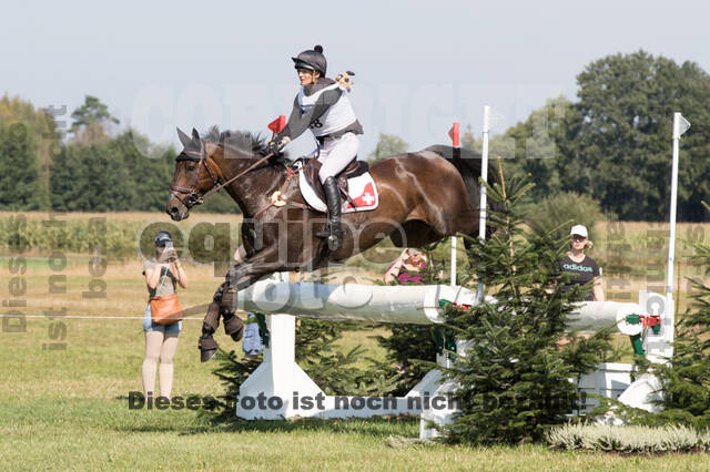 FEI European Championship Eventing 2019