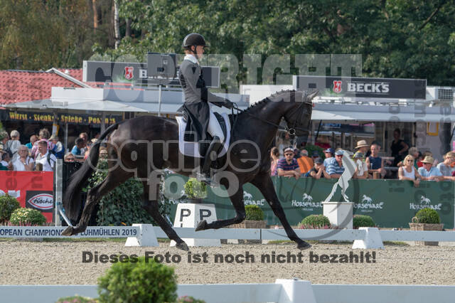 FEI European Championship Eventing 2019