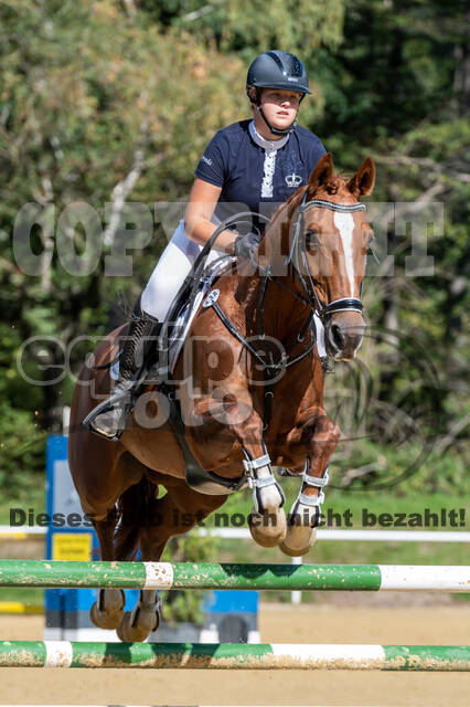 RFV Dinslaken-Hiesfeld (Herbstturnier)