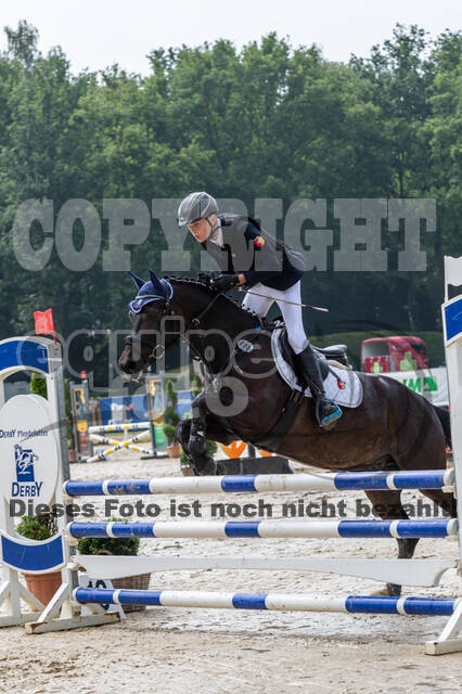 Goldene Schärpe 2021 - Ponys