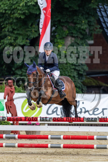 Goldene Schärpe 2021 - Ponys