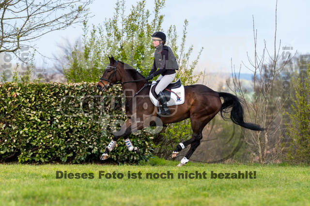 Sara Algotsson Ostholt , Cracks Chica VO