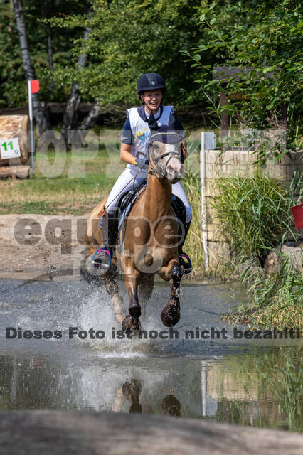Late-Entry Vielseitigkeit Hamminkeln/Wesel (01.+02.08.2020)