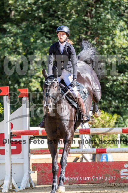 RFV Dinslaken-Hiesfeld (Herbstturnier)