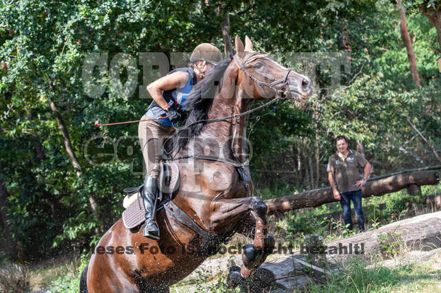 Hunter Geländetraining (16.08.2020)