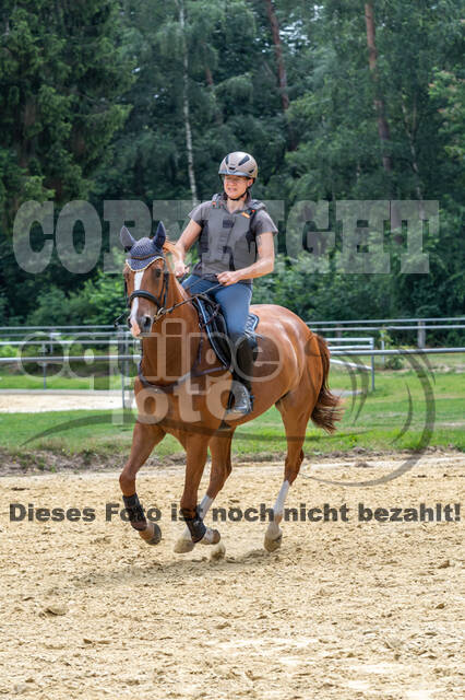 Hunter Geländetraining 10.07.2021 (Sonsbeck)