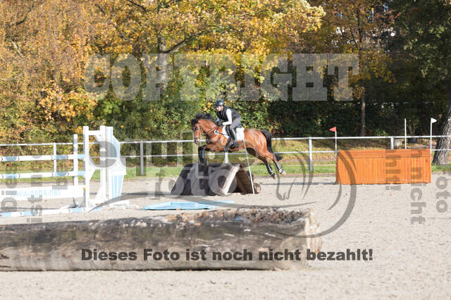 IGV Lehrgang der Sieger der Cups mit Frank Ostholt