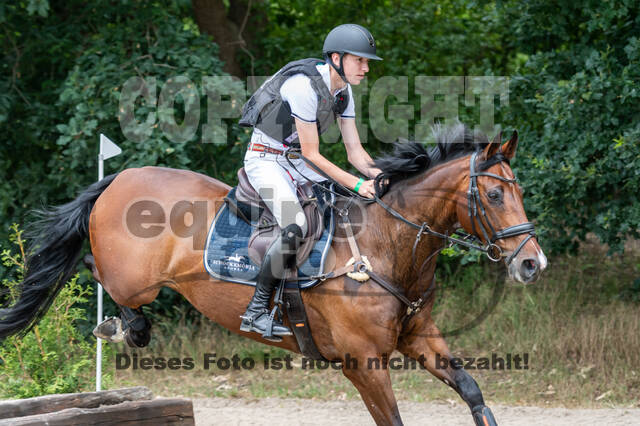 Late-Entry-Vielseitigkeit Langenfeld (11.+13./14.06.2020)
