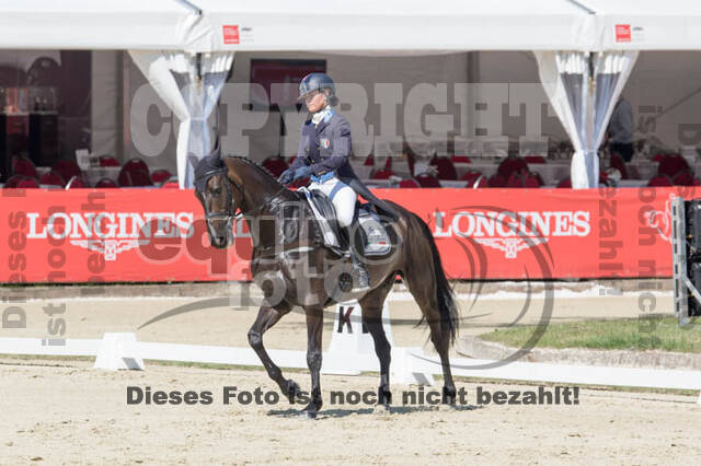 FEI European Championship