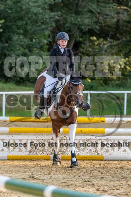 RFV Dinslaken-Hiesfeld (Herbstturnier)