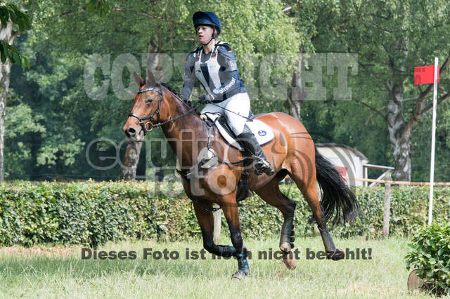 Vielseitigkeitsturnier RFV Bad Honnef