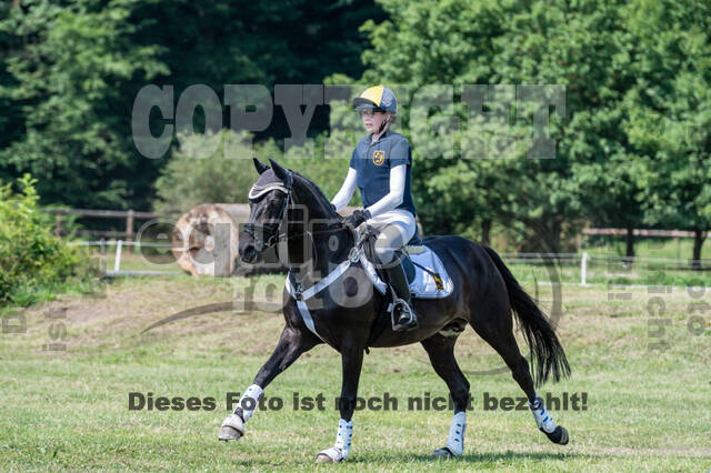 Goldene Schärpe 2021 - Ponys