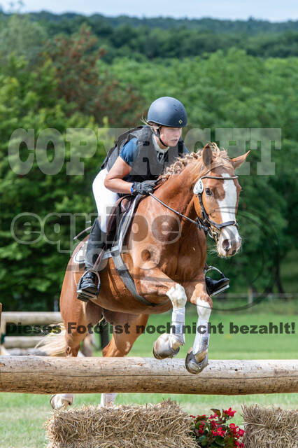 Bonn-Rodderberg Late-Entry-Vielseitigkeit (30.06.2020)