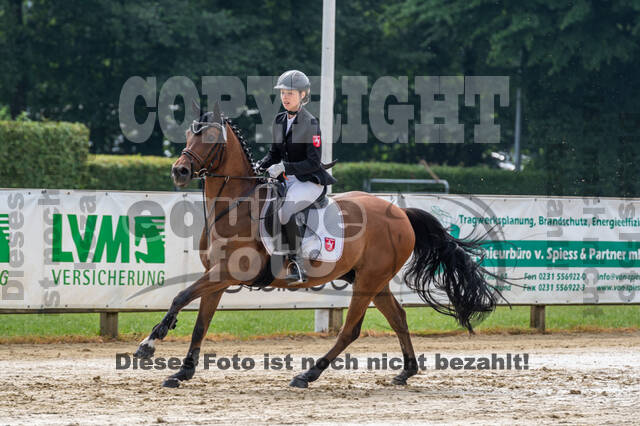 Goldene Schärpe 2021 - Ponys