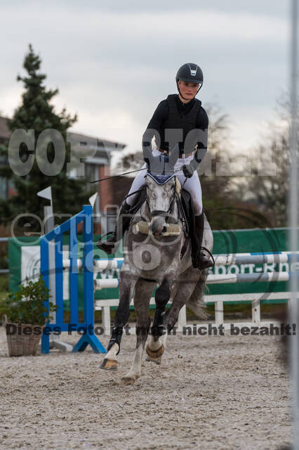 Eventing im Pferdesportzentrum Rheinland (Late Entry 14.03.2022)