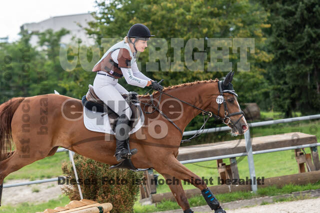 Late-Entry-Vielseitigkeit Langenfeld (06.+07.07.2020)