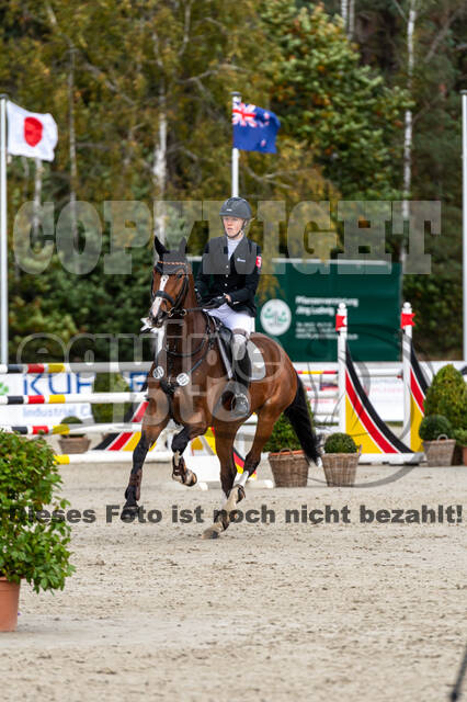 Deutsche Meisterschaft Vielseitigkeit (Luhmühlen)