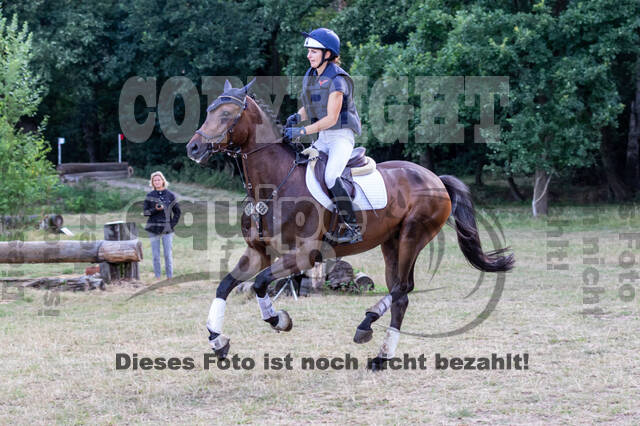 Late-Entry Vielseitigkeit Hamminkeln/Wesel (01.+02.08.2020)