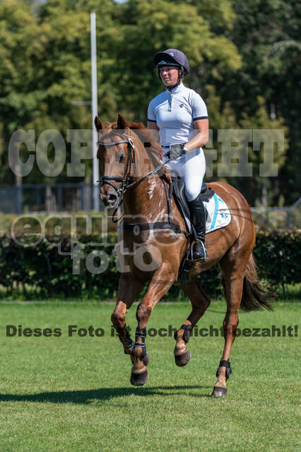 Kronenberg - De Peelbergen (August 2020)